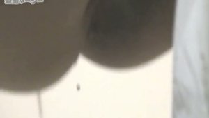 Pussy fuck in the toilet alongside hairy girl