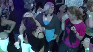 Big tits & hot babe sloppy blowjob at the party